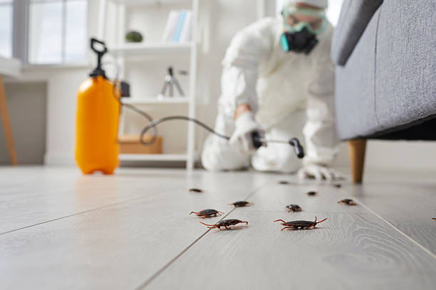 Commercial Kitchen Cockroach Control in Wrightsboro